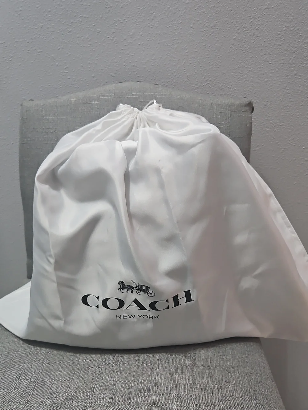 Coach leather gold everyday
